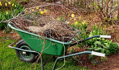 Yard Cleanups